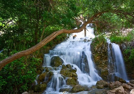 تنگ بستانک (بهشت گمشده)