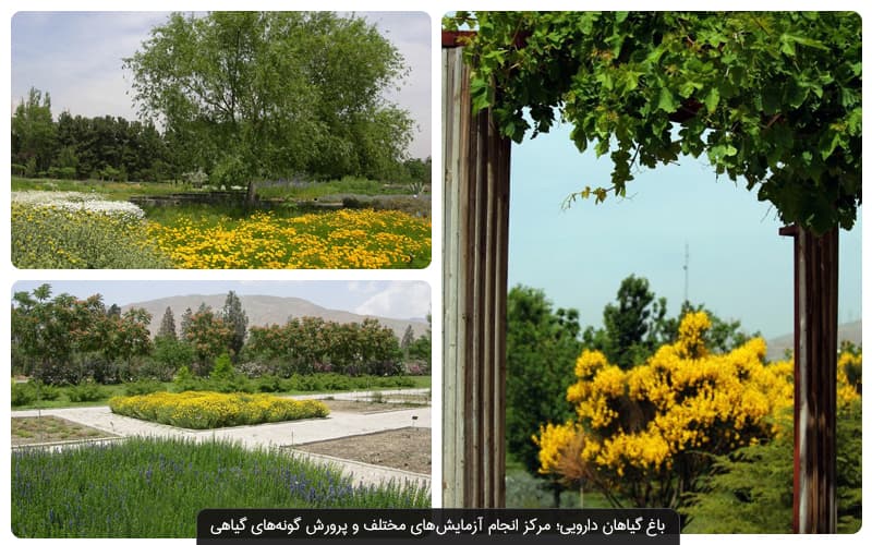 باغ گیاه شناسی ملی ایران